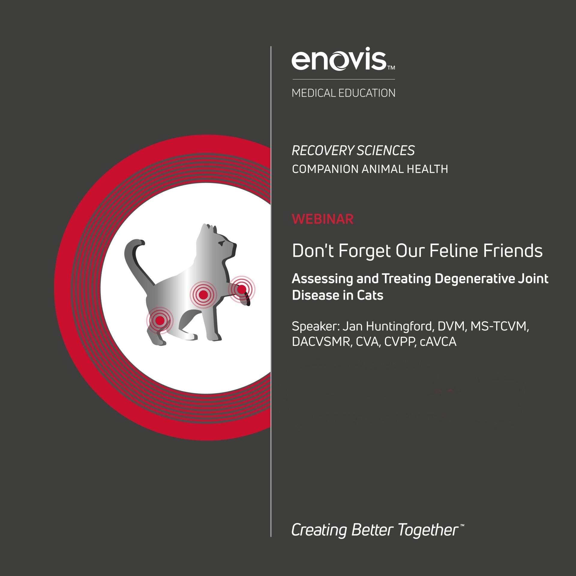 View of Assessing and Treating Degenerative Joint Disease in Cats